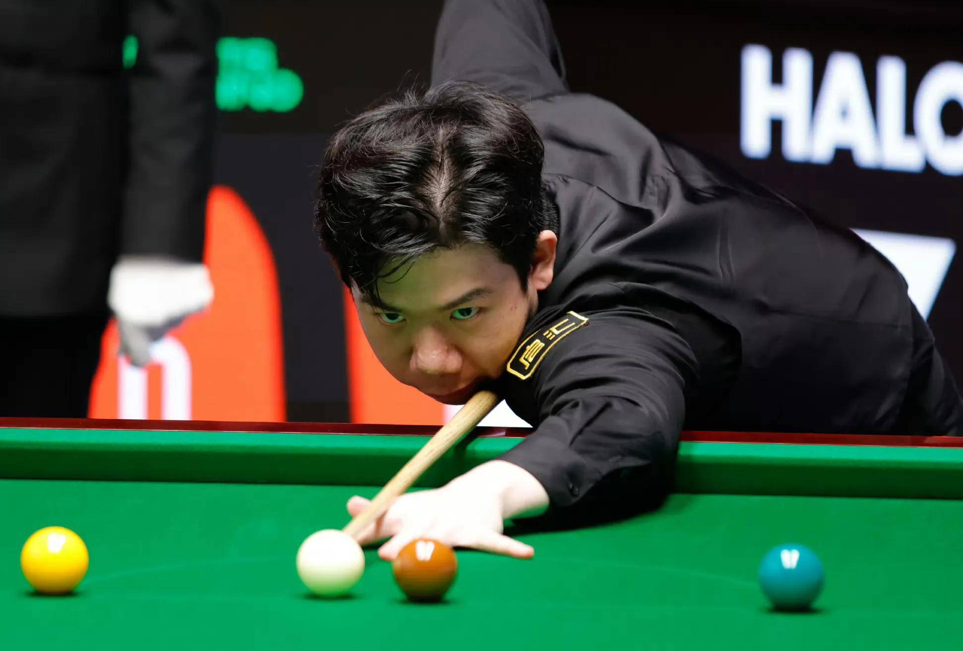 这种专业的 这种专业的