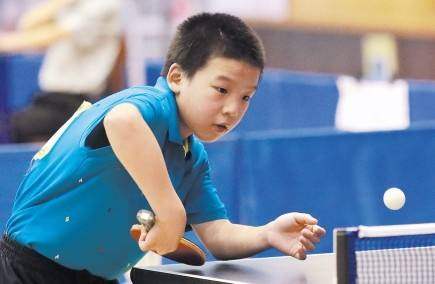 莎的战略调 莎的战略调