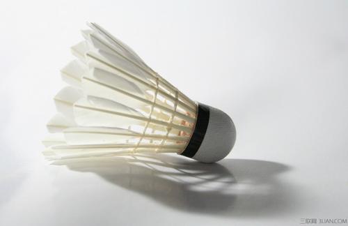 因而其带队 因而其带队